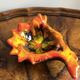 Orange Vallauris cup