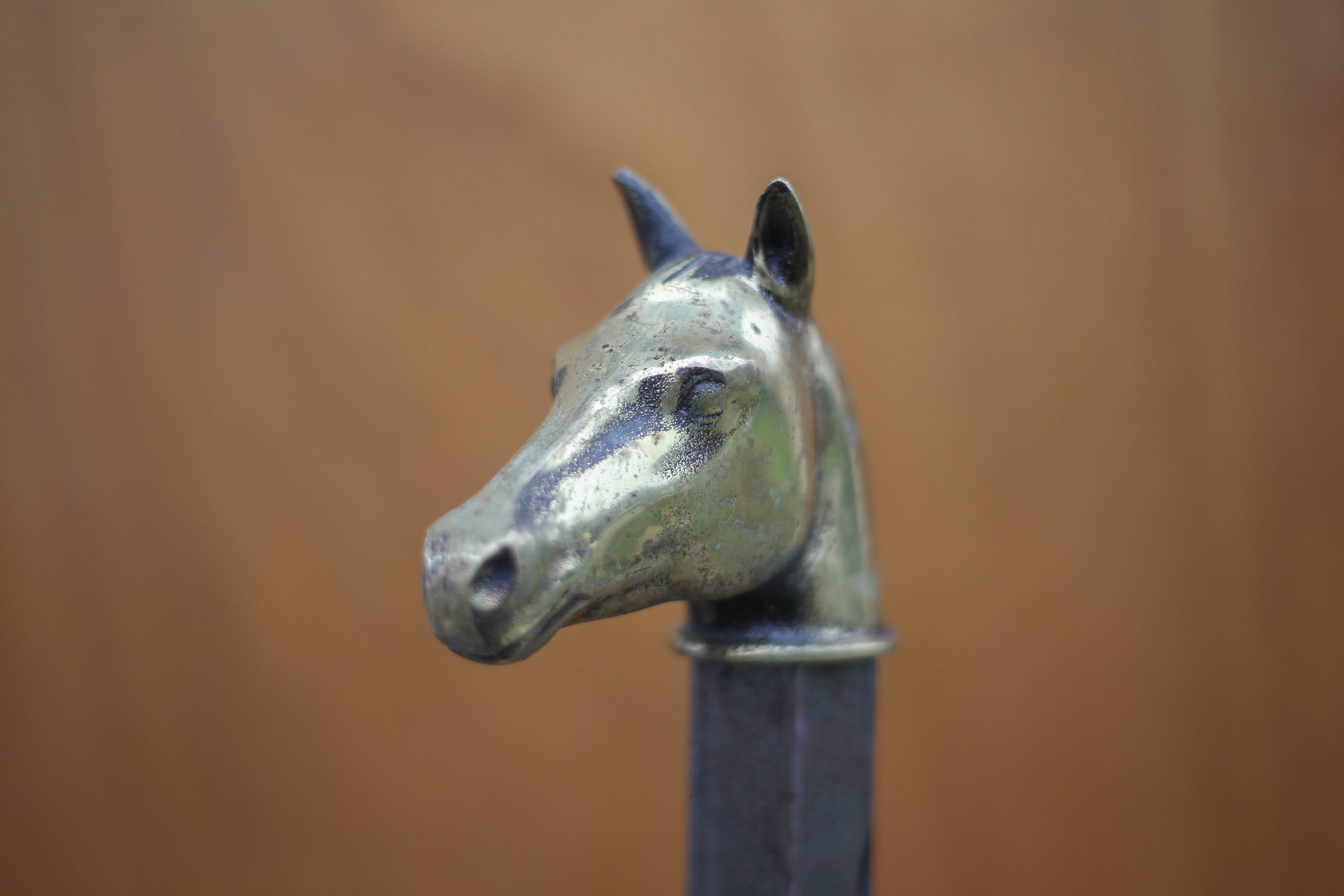 Vintage fireplace andirons, pair of cast iron animal andirons, brass horse head