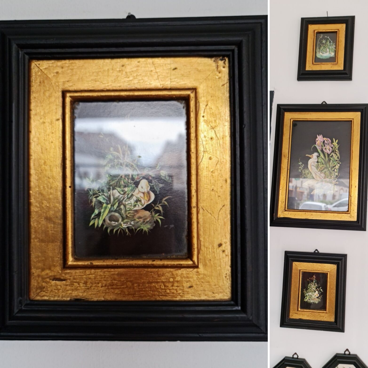 Old frame black and gold bird drawing