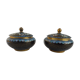 2 partitioned covered pots