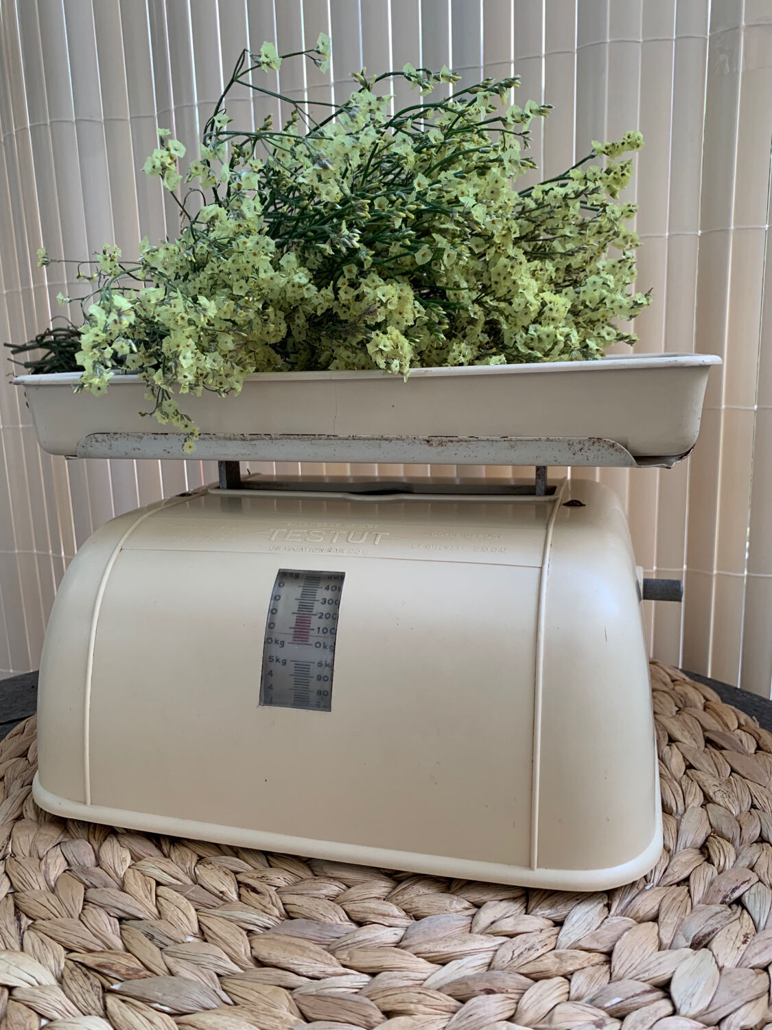 Testut household balance