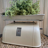 Testut household balance