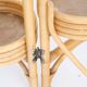 Rattan plant holder