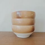 Sandstone bowls of the Scarpe