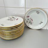Dessert plates porcelain floral decoration