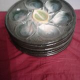 Six plates of oysters Saint Clement
