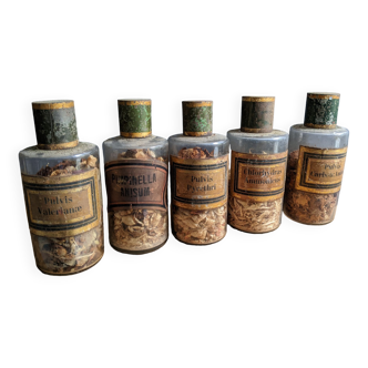 Série de 5 flacons d'herboriste apothicaire circa 1900