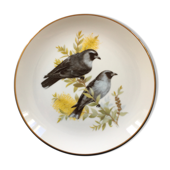 Collectible plate