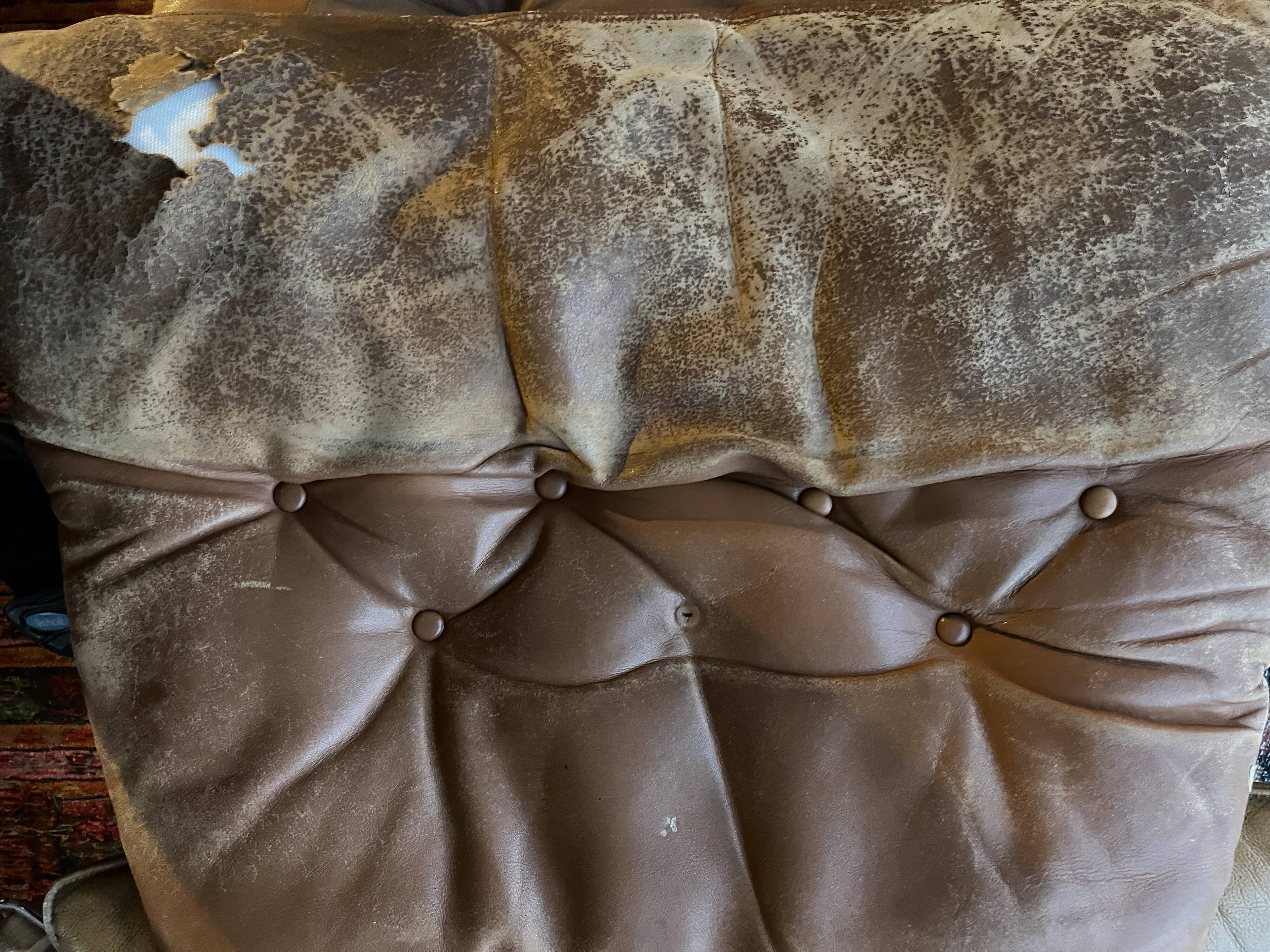 Ressell sigurd falcon armchair