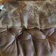 Fauteuil falcon sigurd Ressell