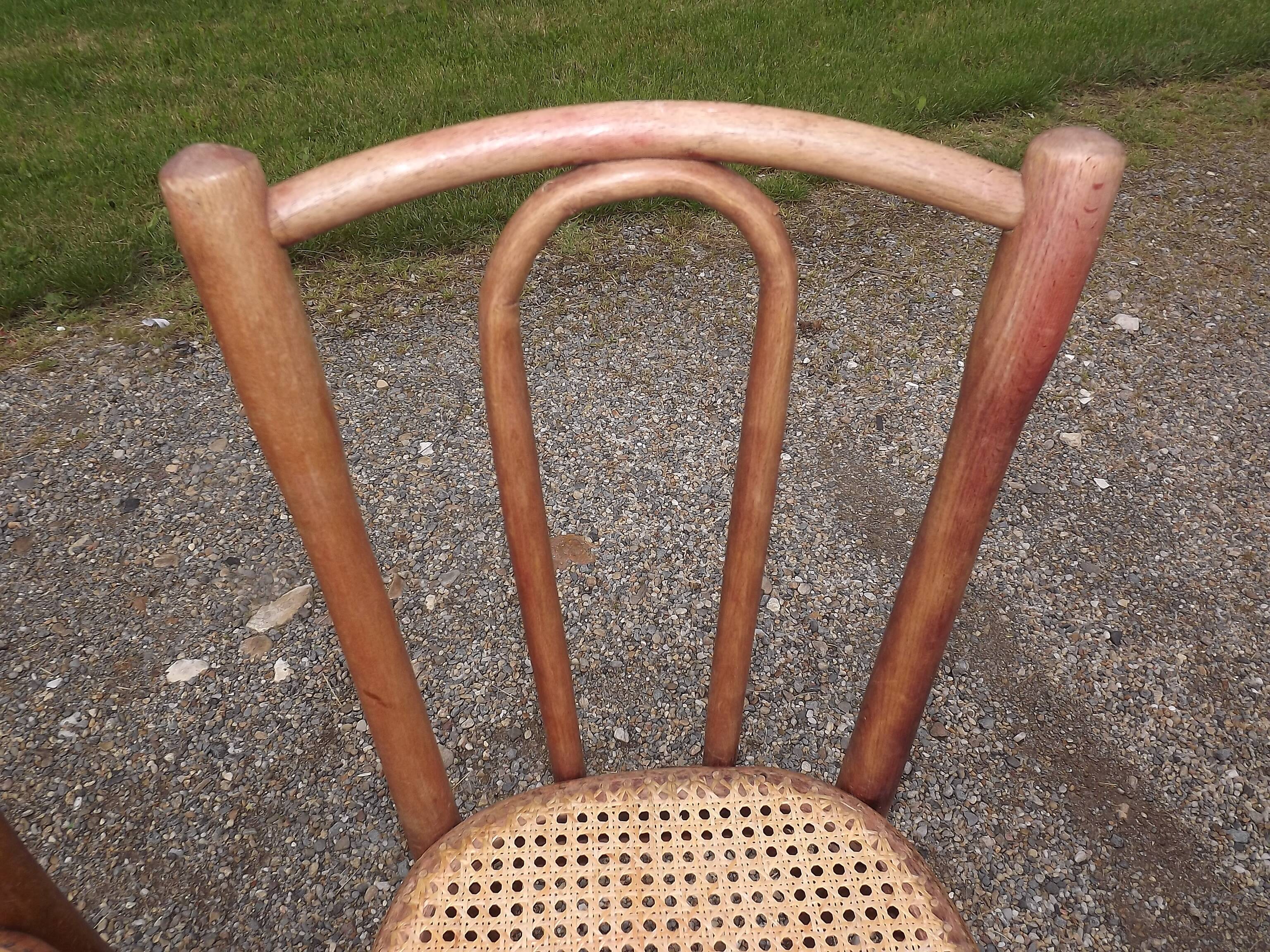 Pair of  Thonet chairs