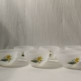 Set 6 cups Arcopal vintage daffodil patterns