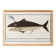 Small poster on the “male sperm whale”, after an old engraving