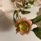 Lot de 2 appliques florentine