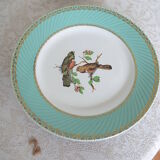 6 assiettes plates oiseaux