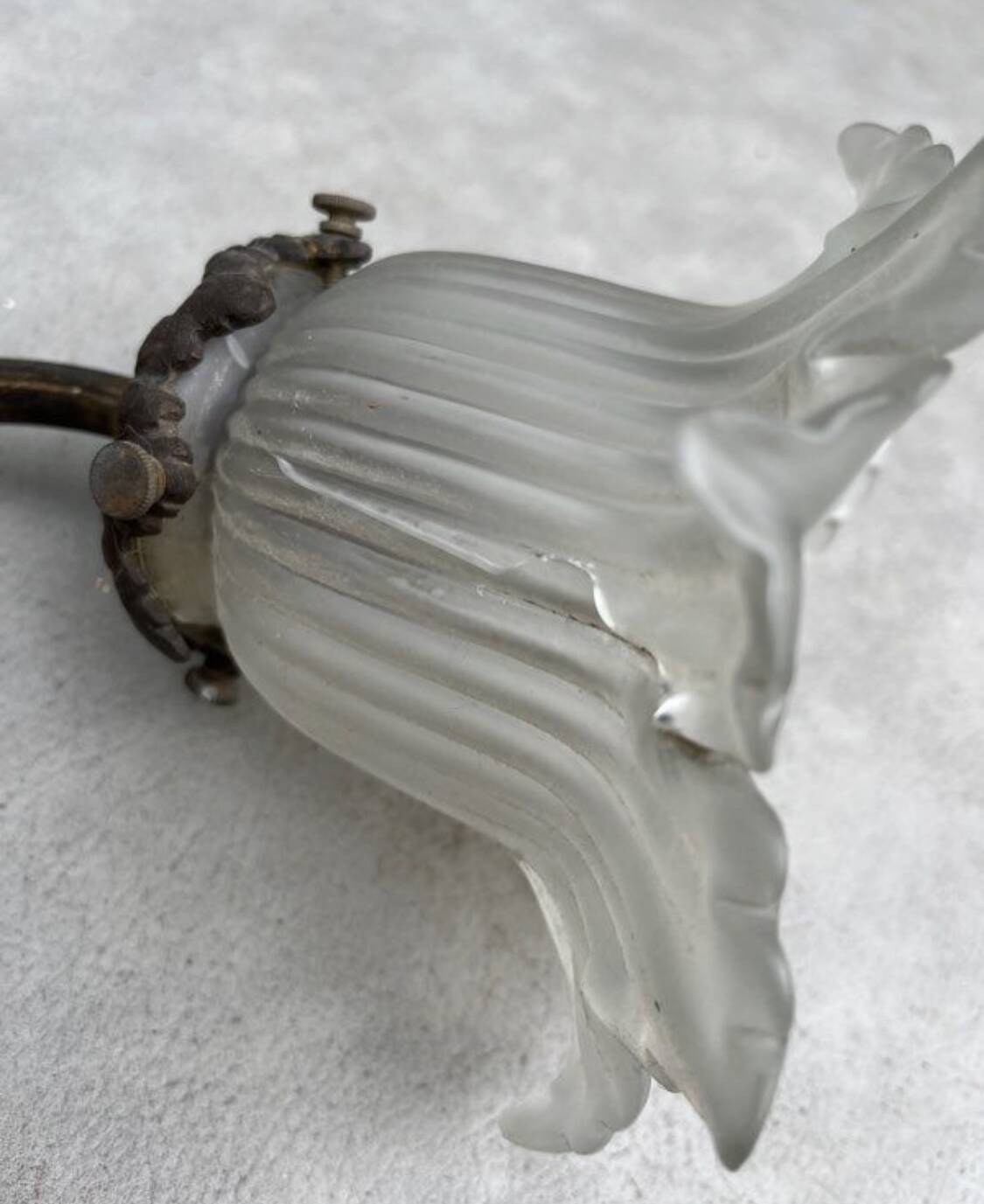 Lampe tulipe