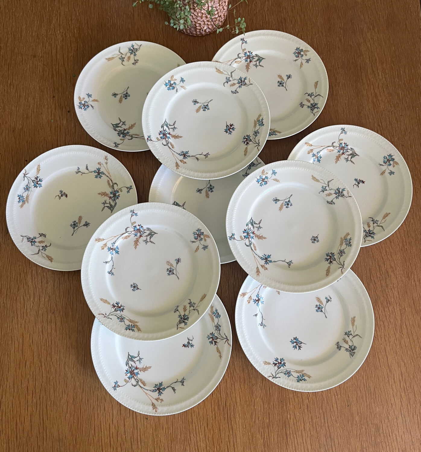 Haviland porcelain dessert plates