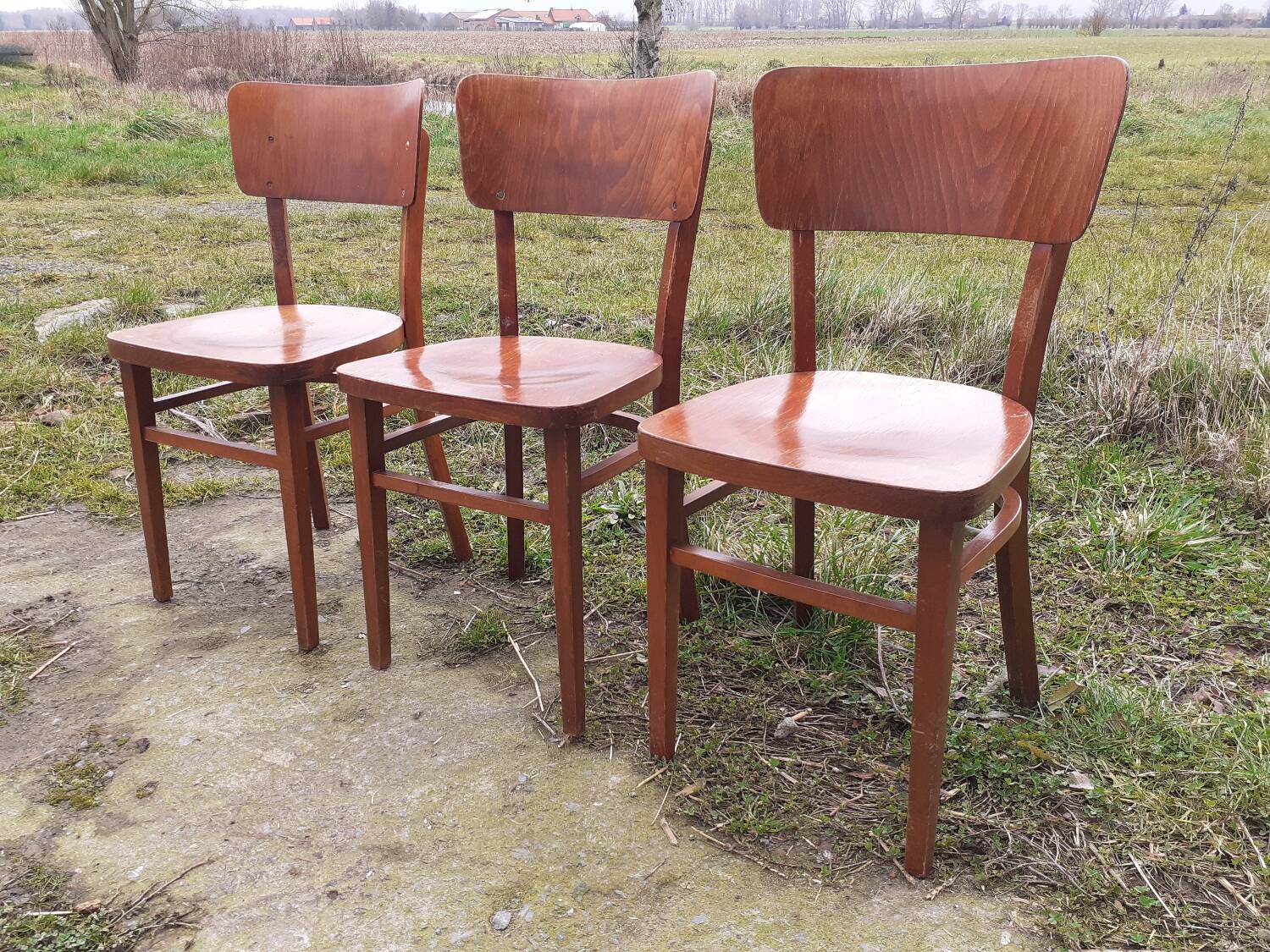 Antique chairs