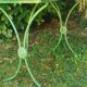 Table de jardin "vintage 50"