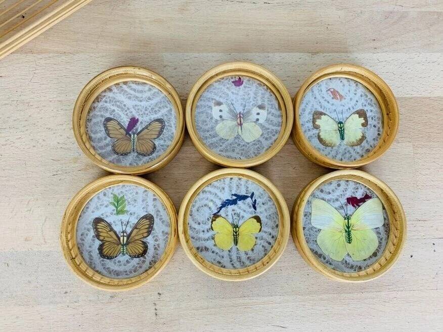 6 rattan coasters, butterflies, with basket