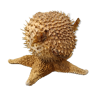 taxidermy diodon on starfish