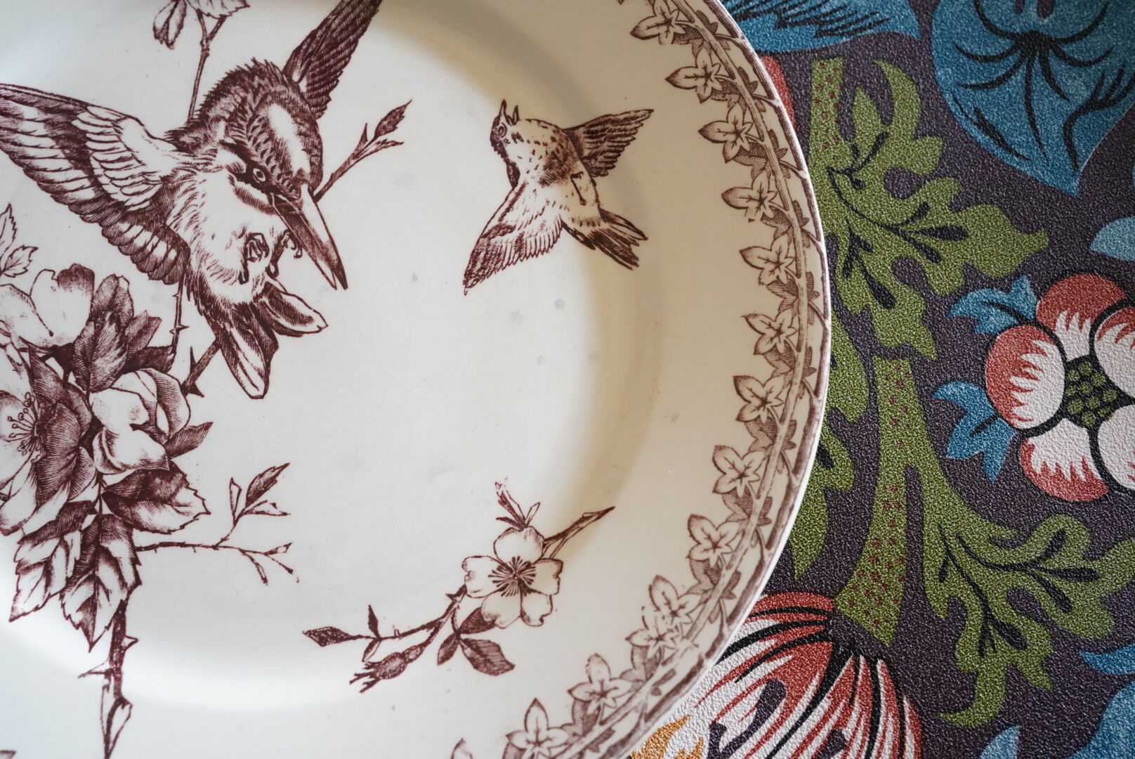 2 antique dessert plates, iron earth, "Buffon" décor, Sarreguemines