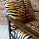 Renovated armchair BW-14, Tiger, Poland 1960s