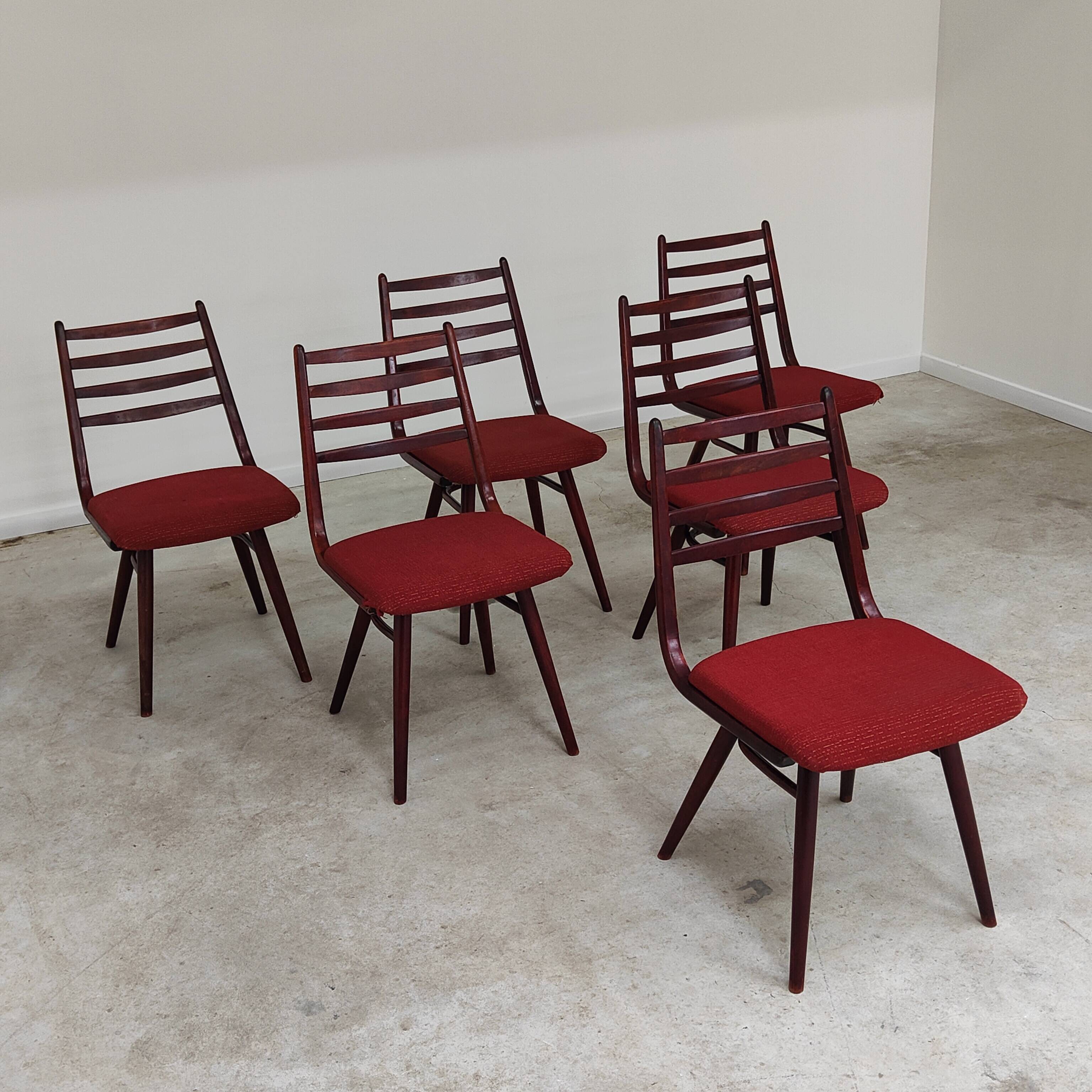 Lot de 6 chaises Jitona Sobeslav , Tchécoslovaquie 1960