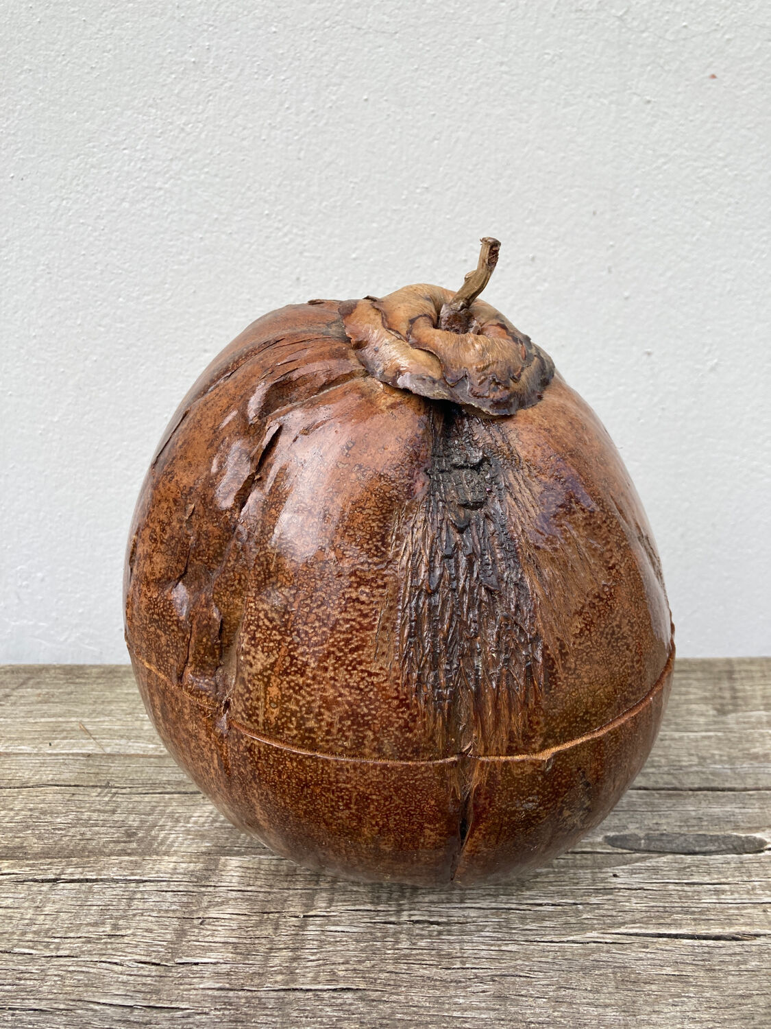 Exotic brutalist coconut ice bucket 1960