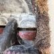 We Guéré Mask Côte d'Ivoire polychrome