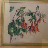 Old pastel Fuchsias framed