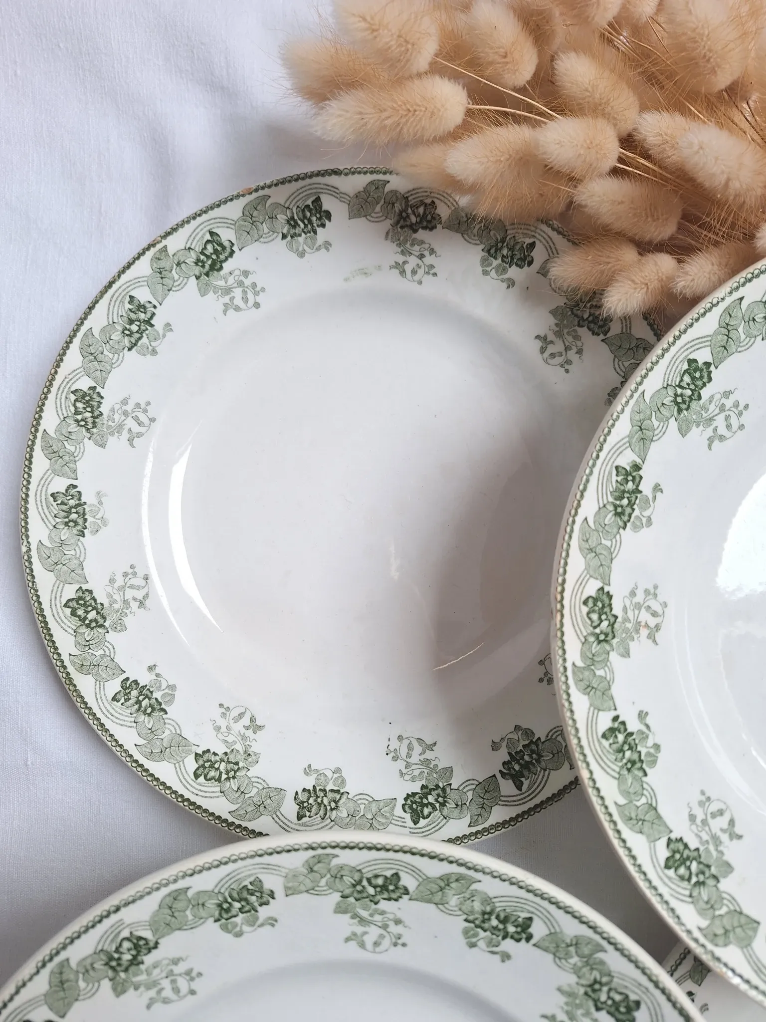 Assiettes plates vertes Moulin des Loups modèle Violetta