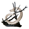Serpent taxidermie cabinet de curiosité
