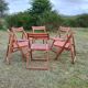 Vintage folding chairs