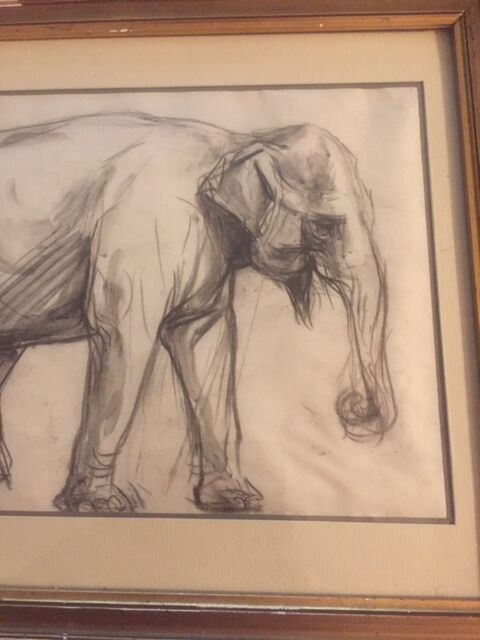 Framed drawing of elephant by René Hérisson