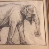 Framed drawing of elephant by René Hérisson
