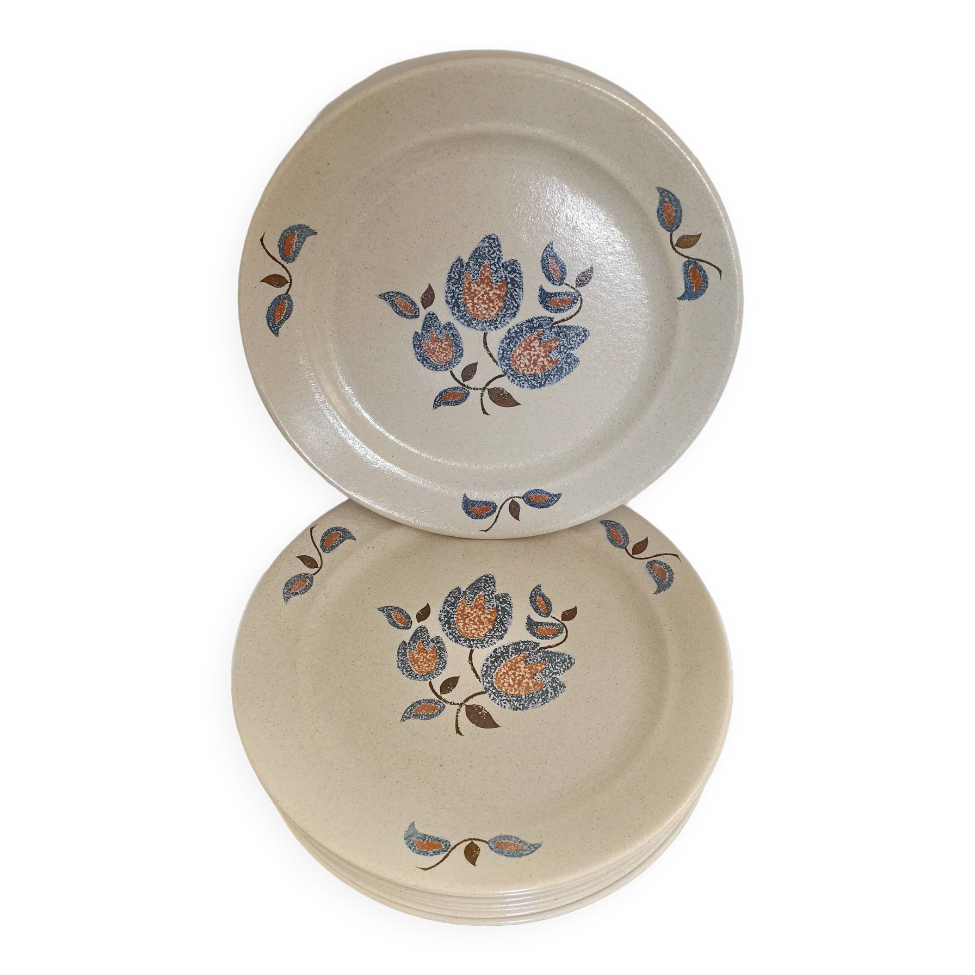 20 plates + 1 faience de saint amand dish sologne collection