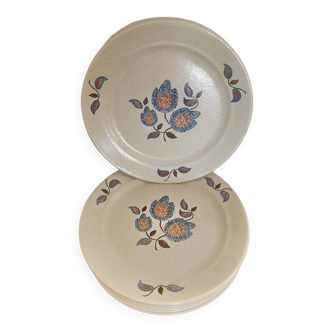 20 plates + 1 faience de saint amand dish sologne collection