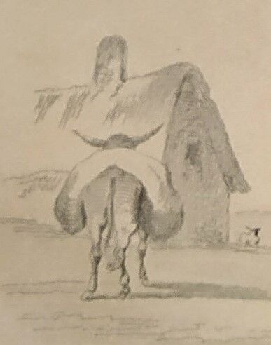 Original zoological frame engraving of 1839 " tait's horse,.... "