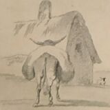 Original zoological frame engraving of 1839 " tait's horse,.... "