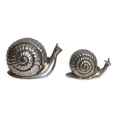 Paire de boites escargots