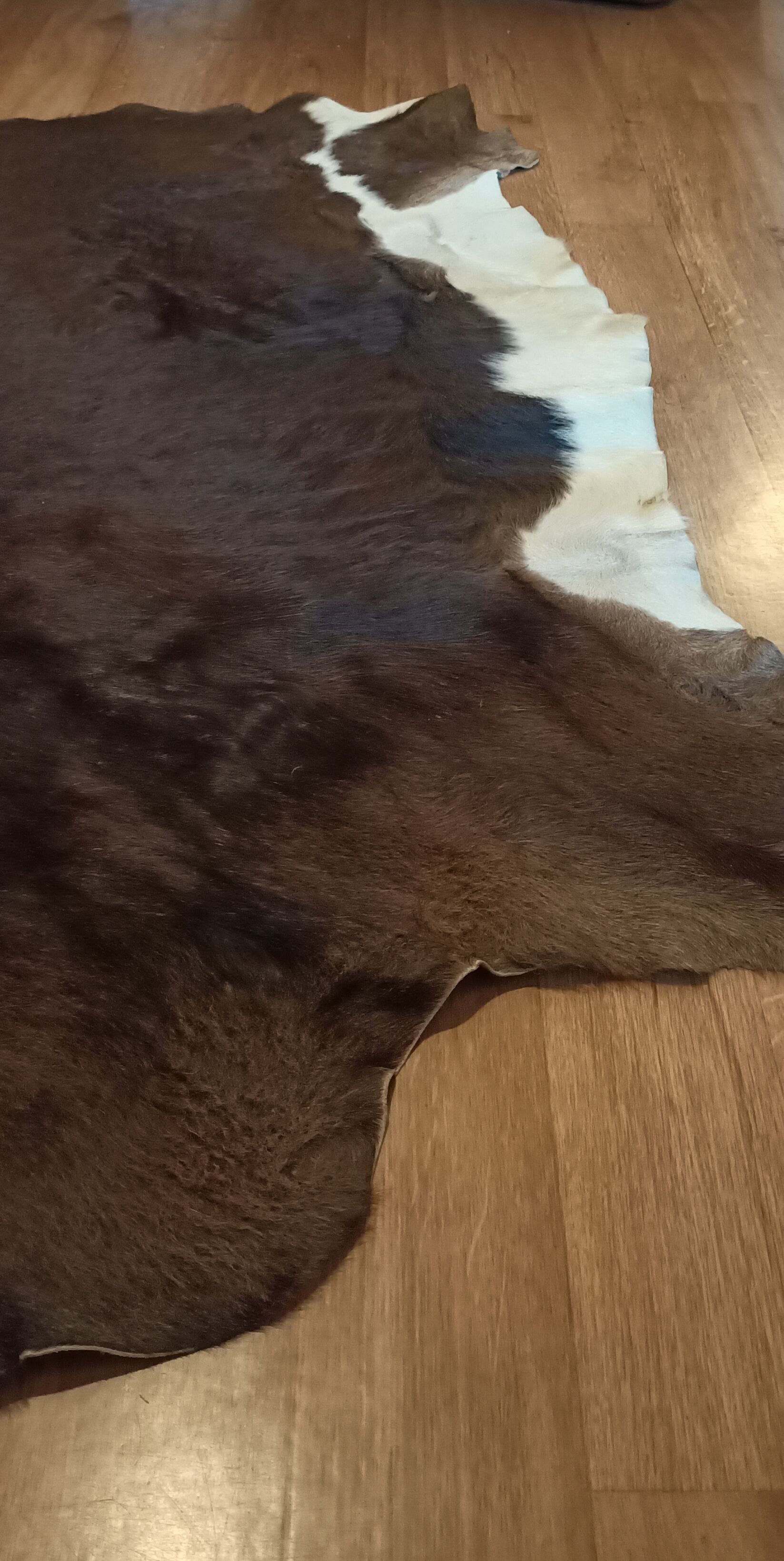 Vintage cow skin carpet, 140 cm x146 cm