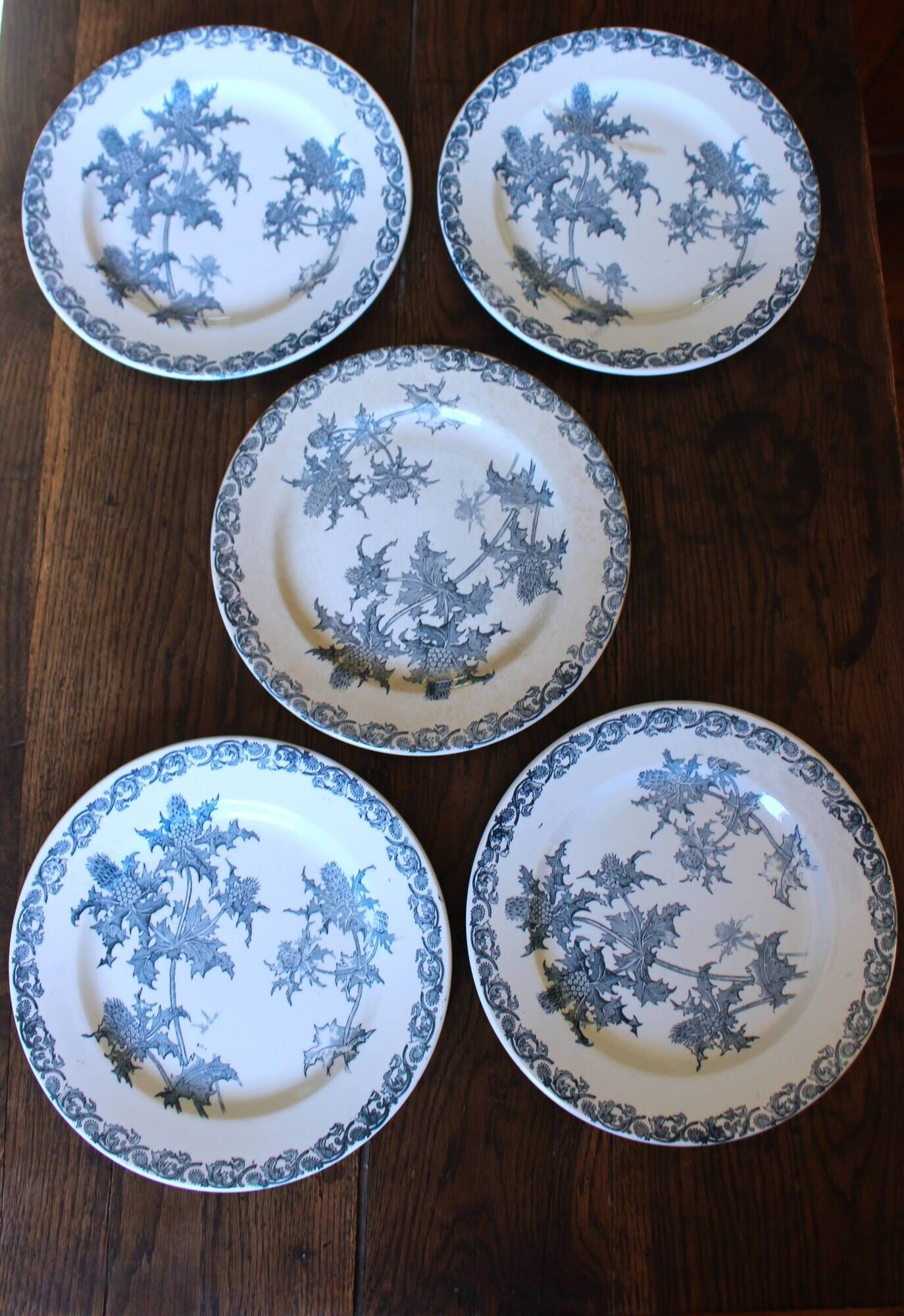 A set of 5 flat plates Chardon Bleu Terre de Fer Clairefontaine Righi