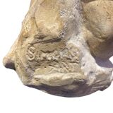 Roman torso in stone anatomical model ecorche