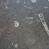 Boomerang coffee table, fossil marble, 70s