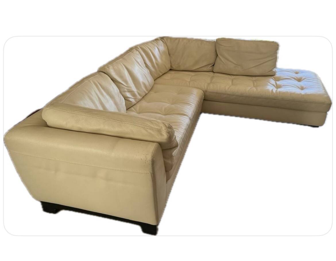 Roche Bobois sofa