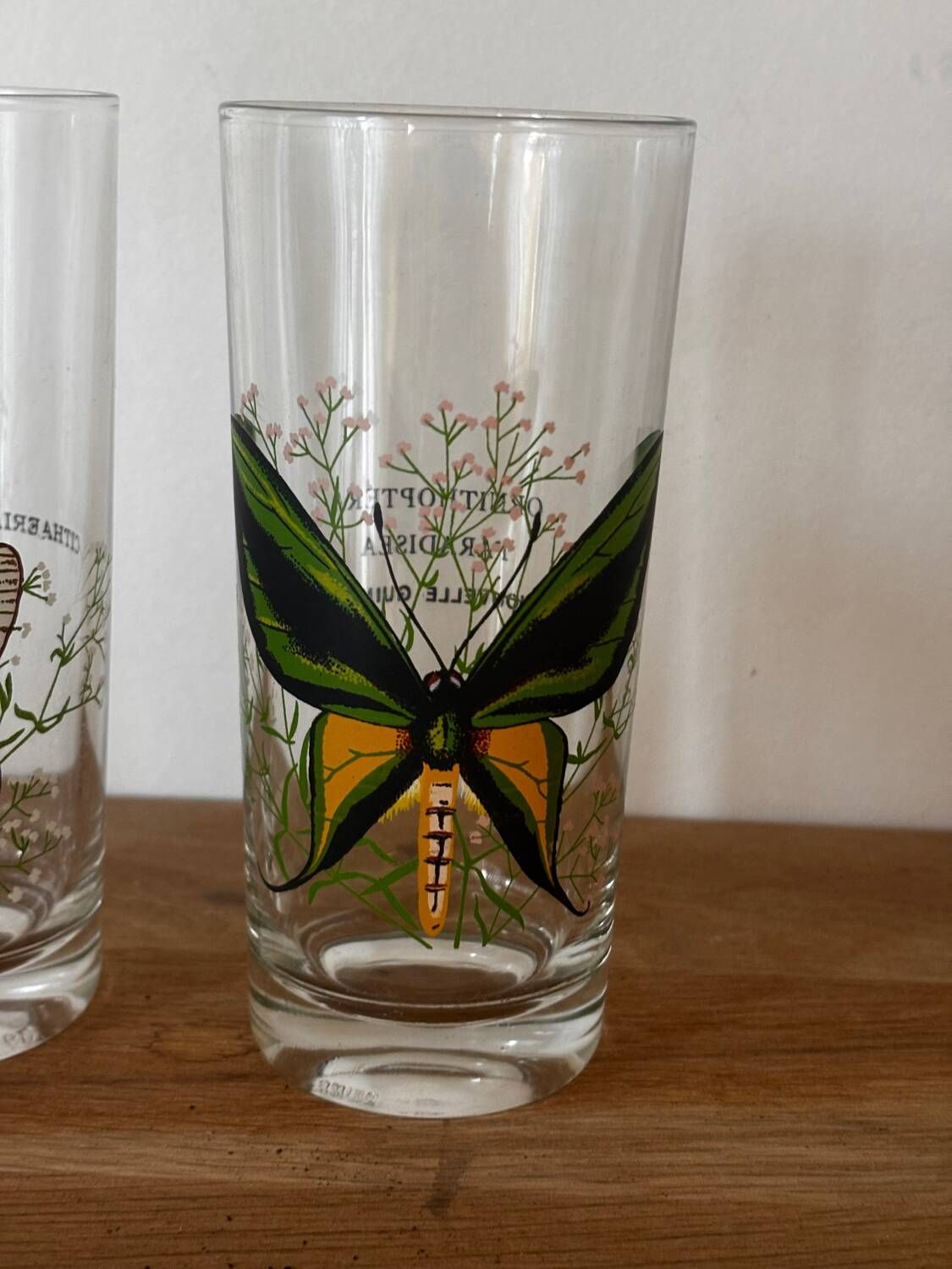 Vintage lot de 3 verres à eau papillons du monde