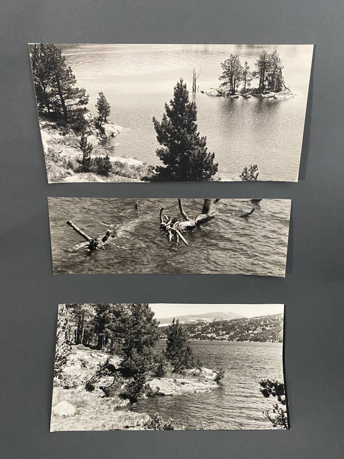 Lot de 3 photos anciennes Bernard Darot Lac Ile Sapins XXe