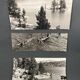 Lot de 3 photos anciennes Bernard Darot Lac Ile Sapins XXe