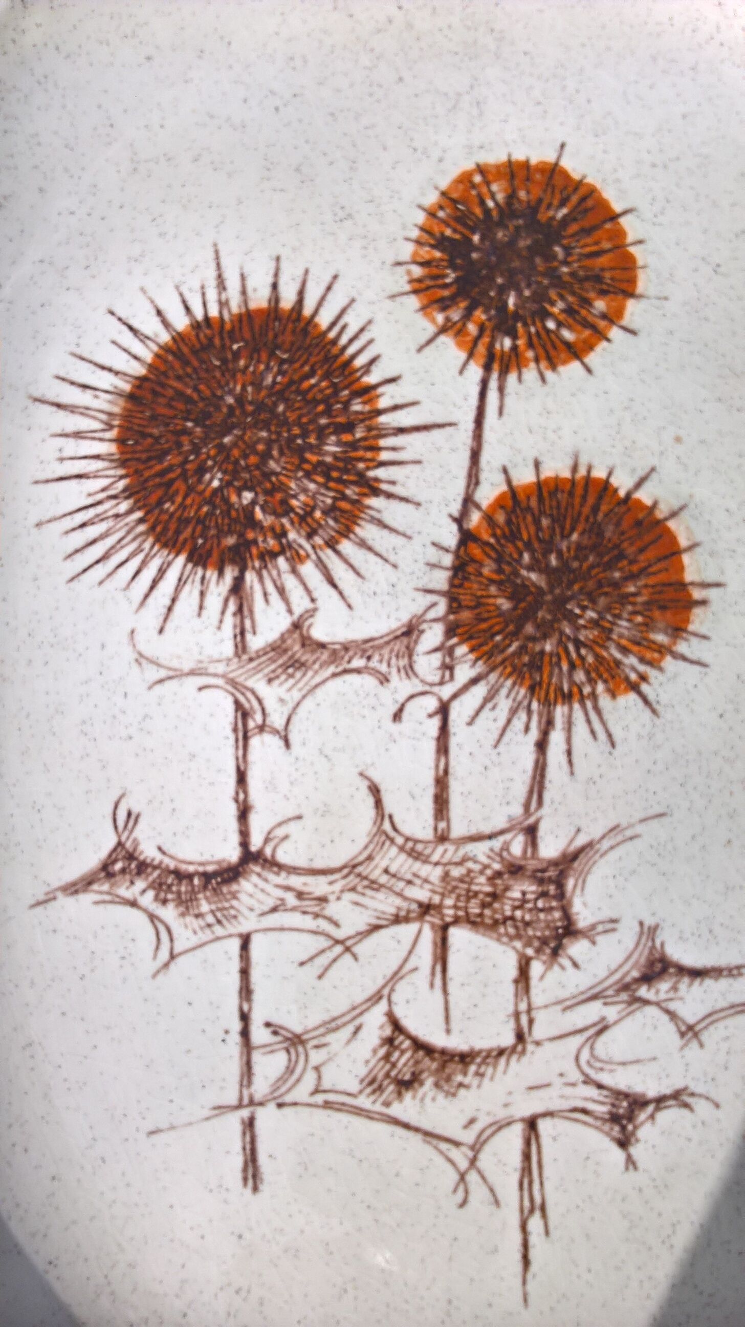 Flat thistles of sarreguemines